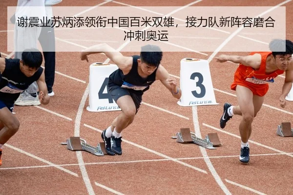 谢震业苏炳添领衔中国百米双雄，接力队新阵容磨合冲刺奥运