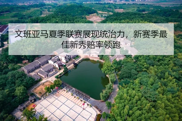 文班亚马夏季联赛展现统治力，新赛季最佳新秀赔率领跑