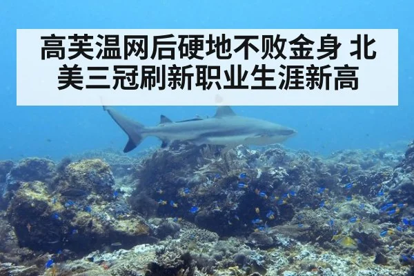 高芙温网后硬地不败金身 北美三冠刷新职业生涯新高